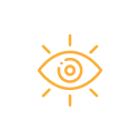 vision